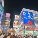 2023-0084 | 오사카 돈키호테 도톤보리점 쇼핑리스트 할인쿠폰 | 일본여행자 필수 특템텍(최신)