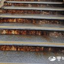 부광자동차정비 이미지