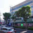 경상권투체육관 네이버블로그