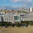 달성고등학교 네이버블로그