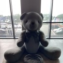 조차 스테이 이미지