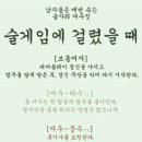 여우야 이미지