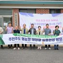 성장 태양광발전소 이미지