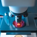 부동산마켓공인중개사사무소 이미지