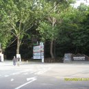 공항입구 삼거리 이미지