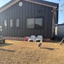 우티랑 | 반려견 동반 독채 펜션 애견 펜션 밀양 ‘우티랑’ 후기