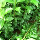 수종농장 이미지