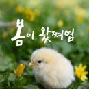 오늘의 날씨 (3월 25일 토요일)입영 13일차 이미지