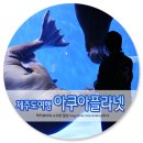 [제주도2박3일여행 7탄] 아쿠아플라넷 할인/관람 후기