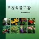 식물도감 이미지