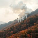 산불 피해 위로음악회 | 경주 산불 소식, 실시간 상황과 안전한 대처 방법 공유해요