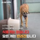 다정한 농장 이미지