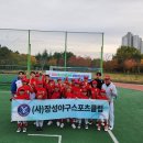 장성야구스포츠클럽