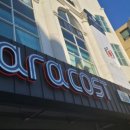 라라코스트(영등점) 이미지