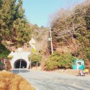 숲속나들이길 | 창원 장복산 벚꽃산행 최단코스 등산로 추천