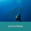 피싱다이나믹