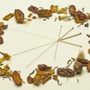 남상천한의원 이미지