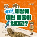 [파란정원] 우와! 세상에 이런 동물이 있다고? 이미지