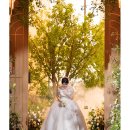 5853 | W10. (계약🩷) 대전 웨딩 본식 스냅 '라벨르 스냅' 계약 후기