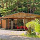 은행나무숲 입구 이미지