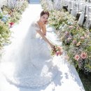 힐하우스호텔 이미지