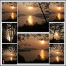 맹종죽테마공원 이미지