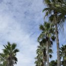 천제연폭포 관광안내소 이미지