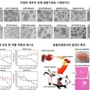 도울개발