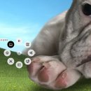 Master PC | 로지텍 MX Master4 후기, MX Anywhere 3과 비교해보니