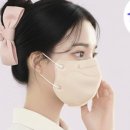 데일리 핏 이미지