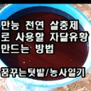 만능 천연 살충제로 사용할 자닮유황 만드는 방법 이미지