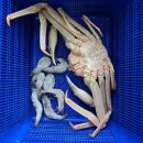 대일수산 이미지