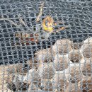 와라당구장 이미지