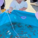 (주)신아주이트럭 | 평택 은혜로 벚꽃축제 현실 후기ㅣ아이들이 더 좋아한 푸드트럭·물고기잡기·바이킹(4/3-4/12)