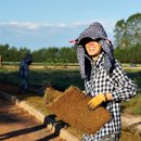 유미숙농장 이미지