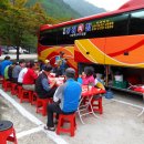 동림횟집 이미지