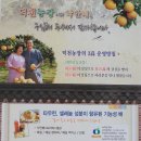 [덕천농장 낙안배] 선물하기 좋은 낙안배 배생채 배수정과 배요리 배효능