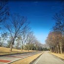 씨유 용인이동서리점 | 대표님 모시고 용인 골프장이동 제네시스g90