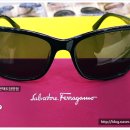 일공공 안경콘택트 이미지