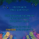 르쏠레이475카페 야영장 이미지