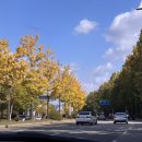 일청로36번길 이미지