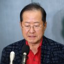 홍준표 “국힘, 해산될 수도…정치 보복 아닌 지은 죄에 대한 대가” 이미지