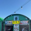 목포 항구포차거리 맛집, 오늘은 목포역 항구포차 3호점 후기