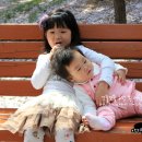 뚱이양이