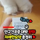 [안구건조증 완화]안약요약 총정리 사용후기/가격 및 사용관리법, 디쿠아스점안액3% 아이커비스점안액...