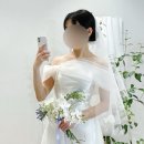 [웨딩] 아르하 실크드레스 피팅 후기(라일라, 스완, 메이, 로이)