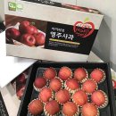 [NH 마트] 한국산 감귤, 사과, 배 세트 입고 됐습니다. 이미지