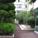 동신초등학교 이미지