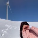 노선목장 이미지