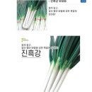 신연산대추